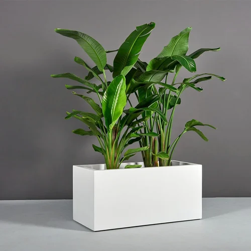 FRP Planters